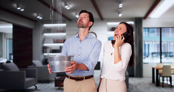 Best Water damage restoration near me  in Belvedere, SC
